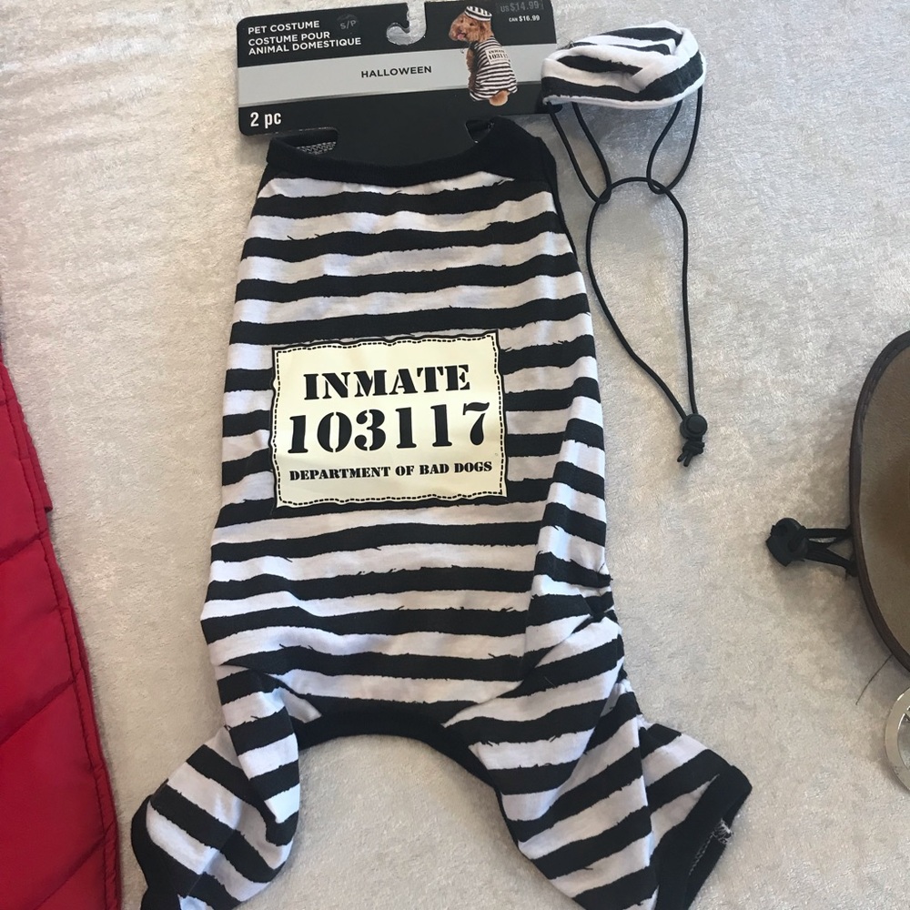 Two small dog costumes